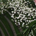 Букет 59