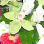 Букет 33